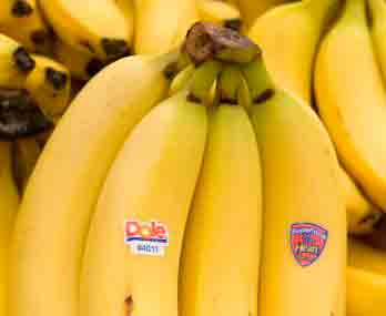 Бананы в жизни человека