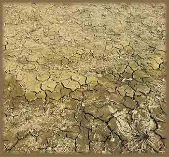 Как предупредить эрозию почвы
